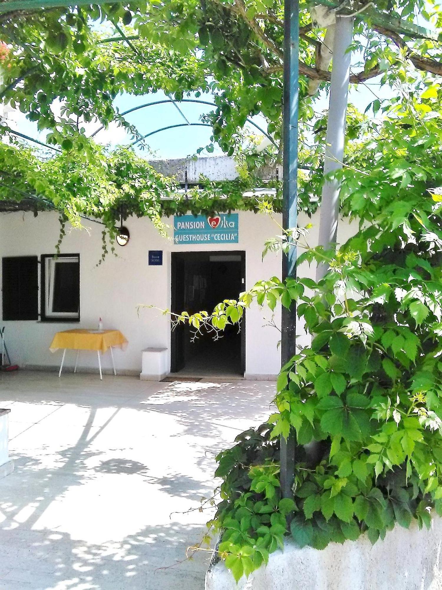 Guesthouse Cecilia 2 マリンスカ エクステリア 写真